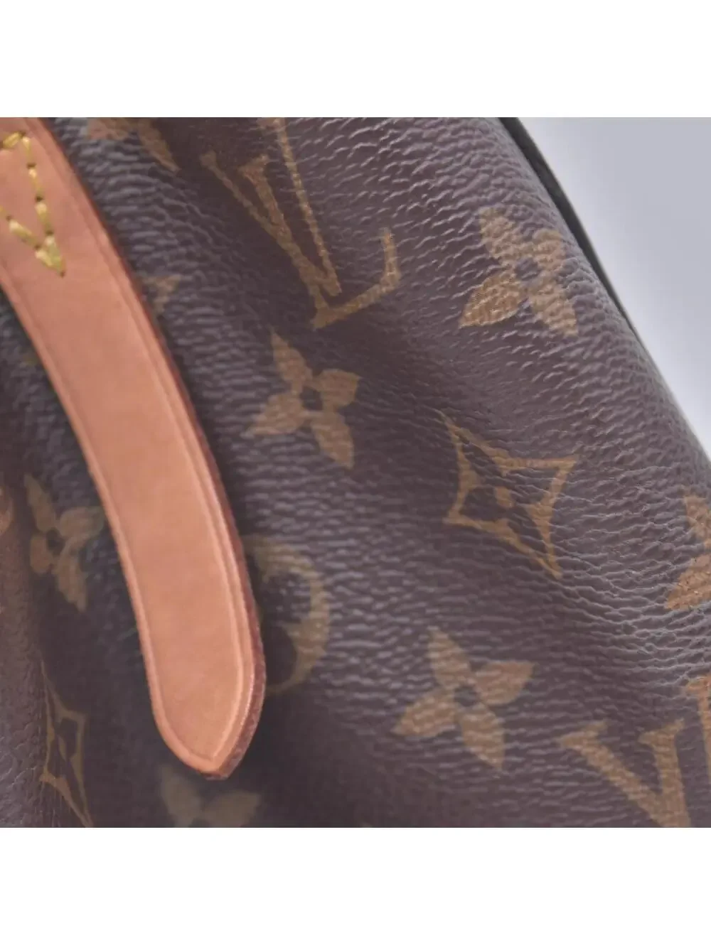 Louis Vuitton exterior canvas